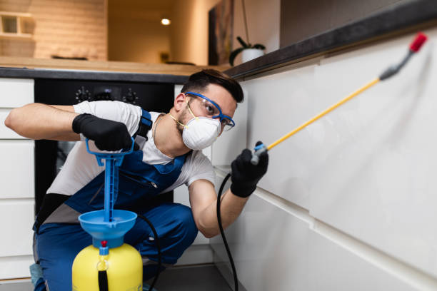 Best Affordable Pest Control Services  in Summit, AZ