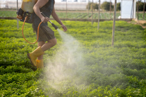 Best Best Pest Control Companies  in Summit, AZ