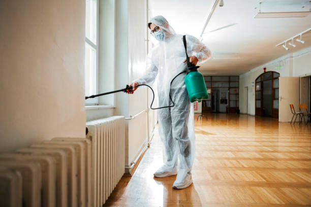 Best Mosquito Control Services  in Summit, AZ